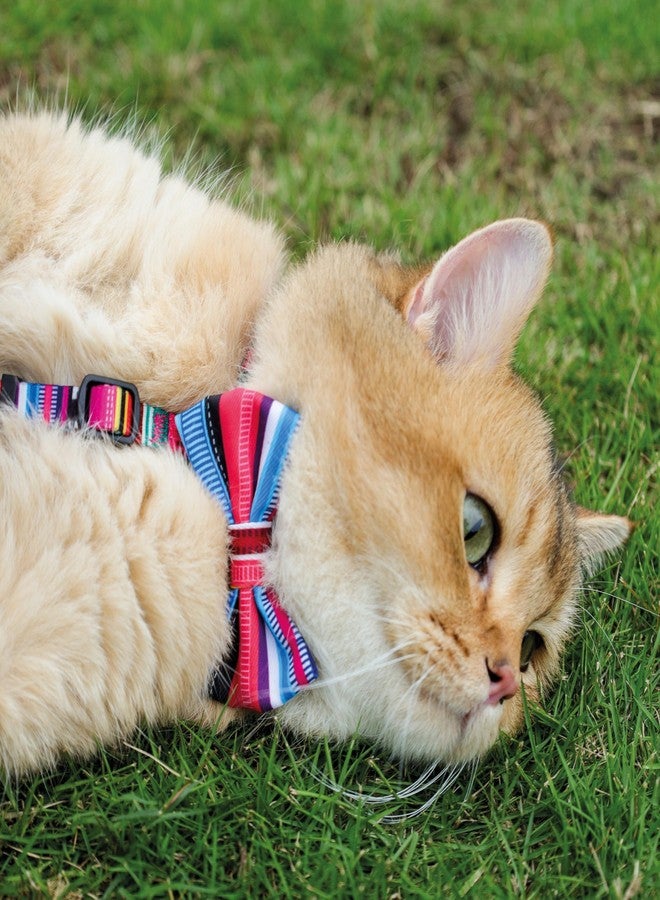 M-PETS Urban Style Jazz Stripes Bow Tie Dog Collar, Stylish Durable Adjustable Pet Collar, 99% Recycled Plastic Bottles, Secure Nylon Buckle, Dog Accessory for X-Small/Small Dog & Cat Breeds - Image 4